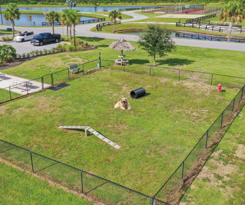 Dog Park